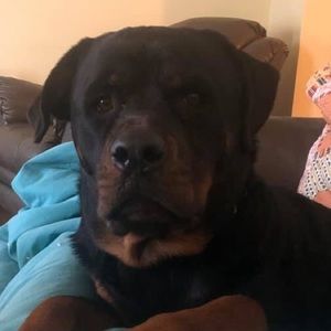 Meet your Posher, Jacob